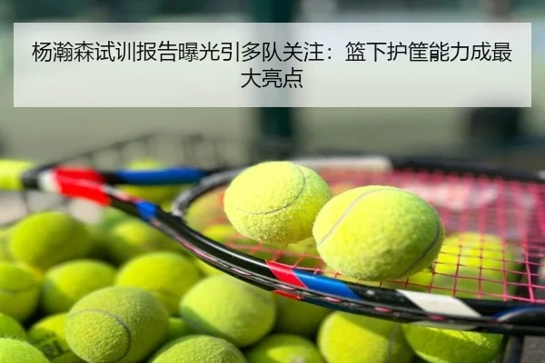 杨瀚森试训报告曝光引多队关注：篮下护筐能力成最大亮点