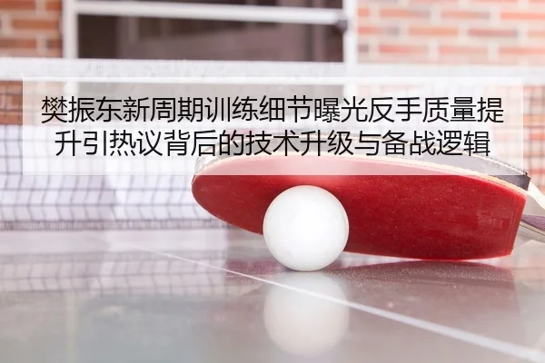 樊振东新周期训练细节曝光反手质量提升引热议背后的技术升级与备战逻辑